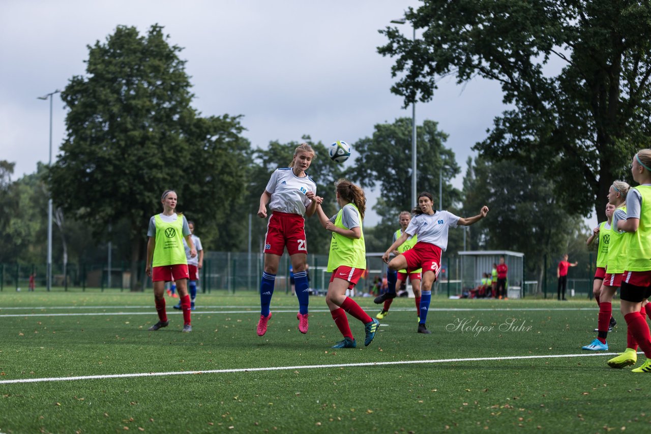 Bild 223 - C-Juniorinnen HSV - Walddoerfer : Ergebnis: 9:1